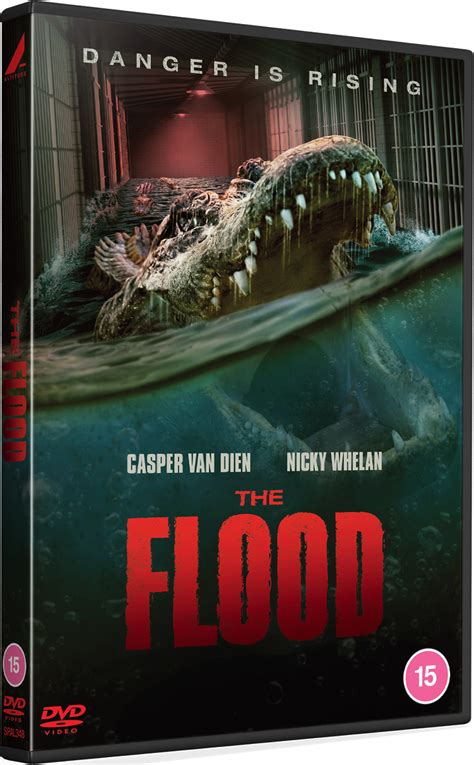 the flood pdvd